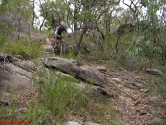 20070114-Coba 192 